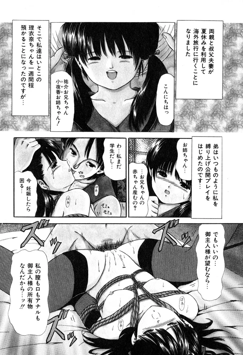 堕ちた果実たち Page.31