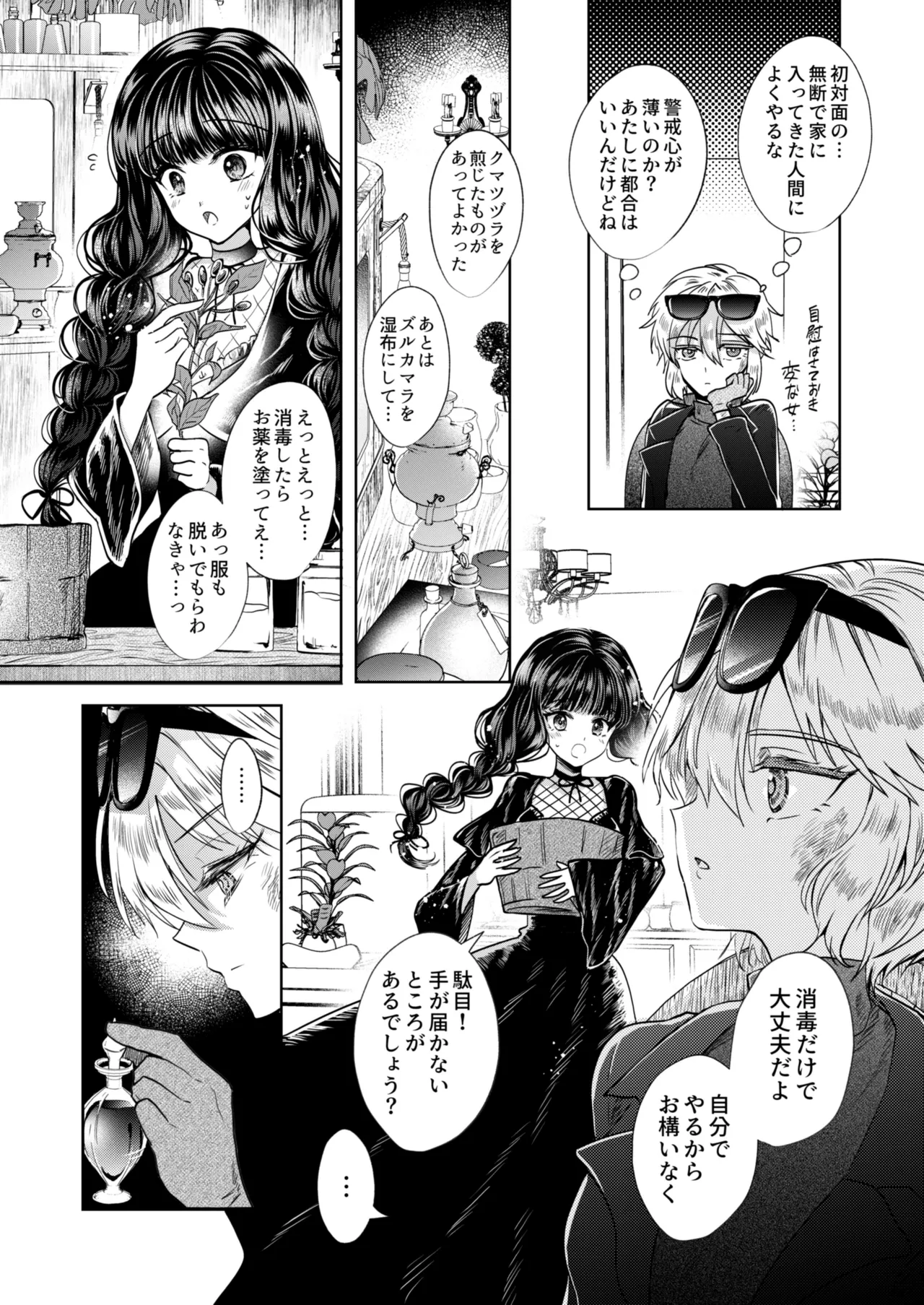 彼女と彼女の幸福原理 ～魔女は用心棒に恋をした～ Page.11