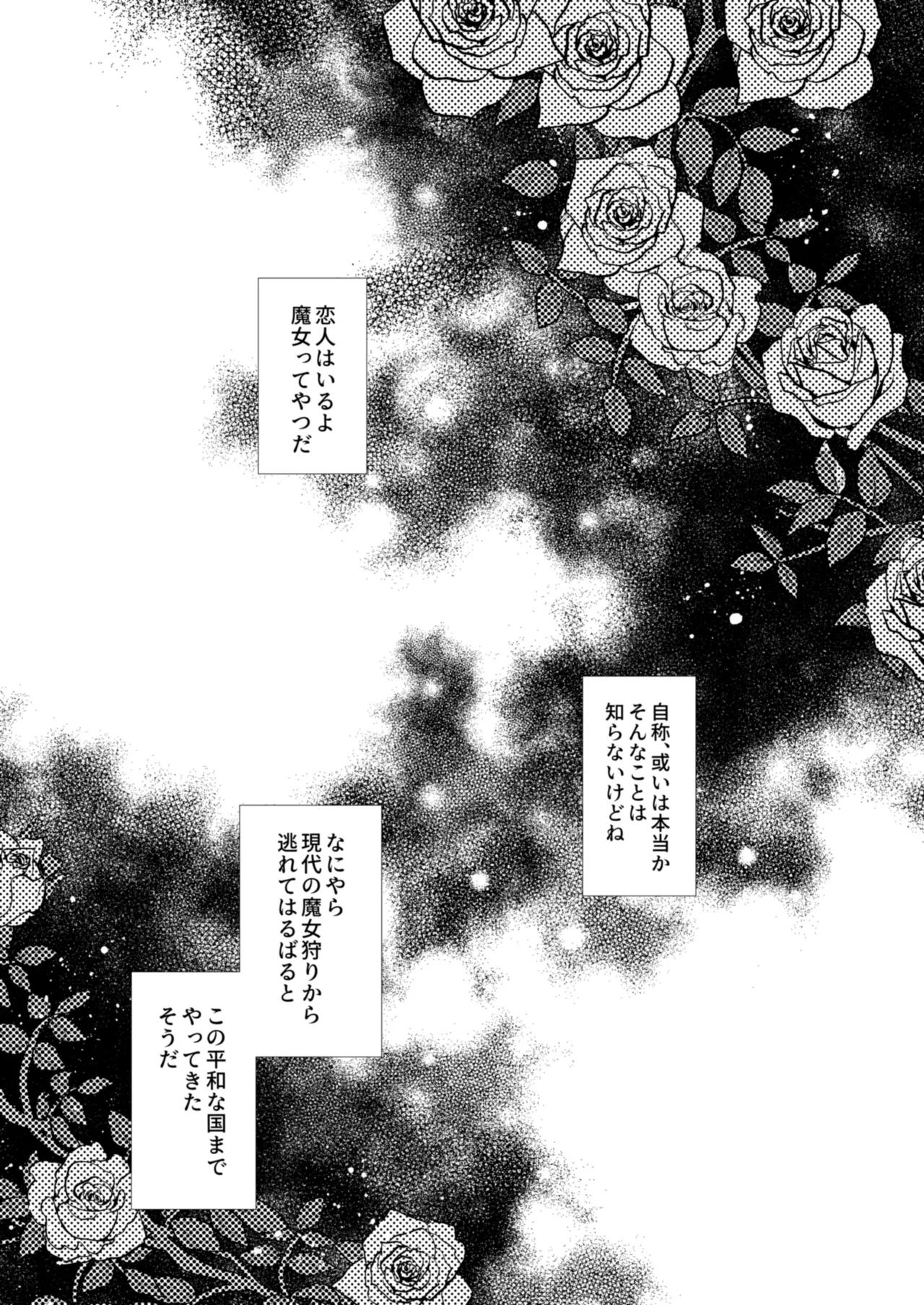 彼女と彼女の幸福原理 ～魔女は用心棒に恋をした～ Page.4