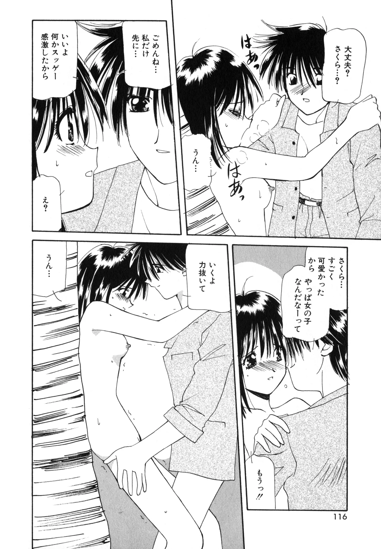 桜吹雪・花模様 Page.113