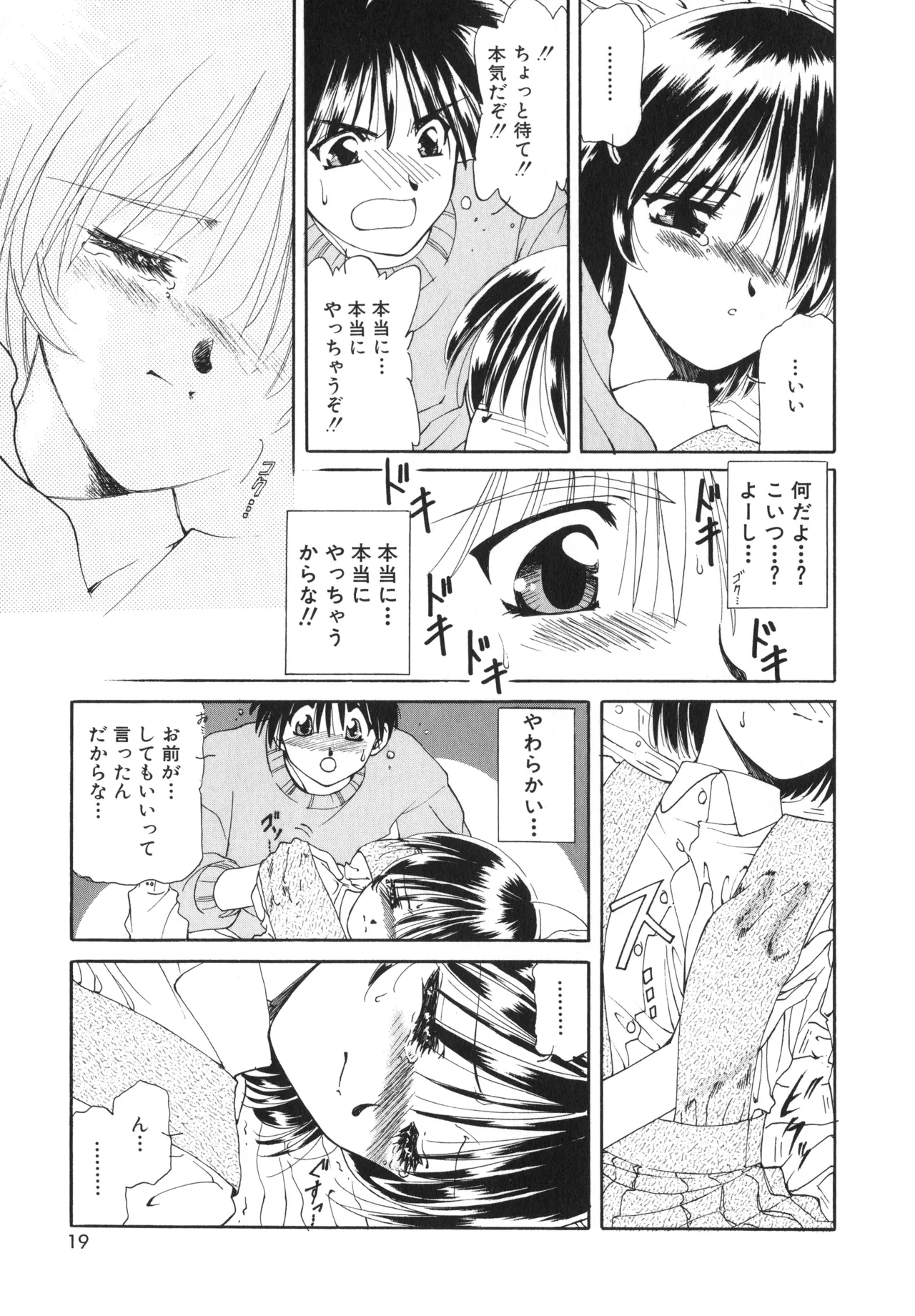 桜吹雪・花模様 Page.16