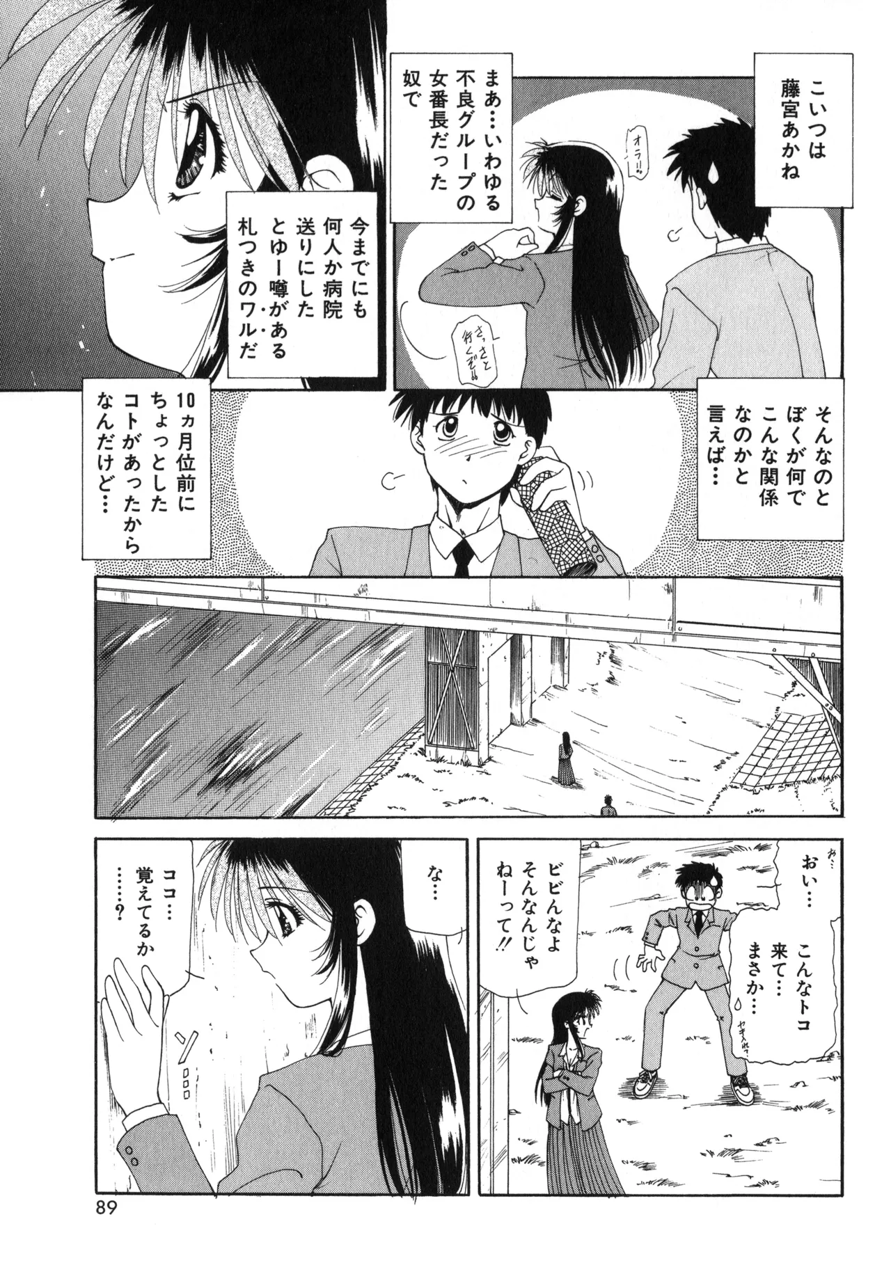 桜吹雪・花模様 Page.86