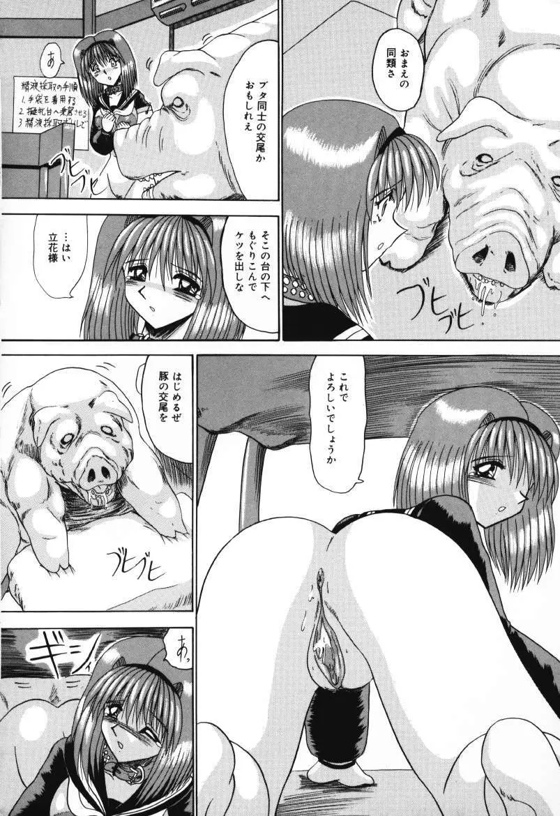マゾの夢は夜開く Page.148