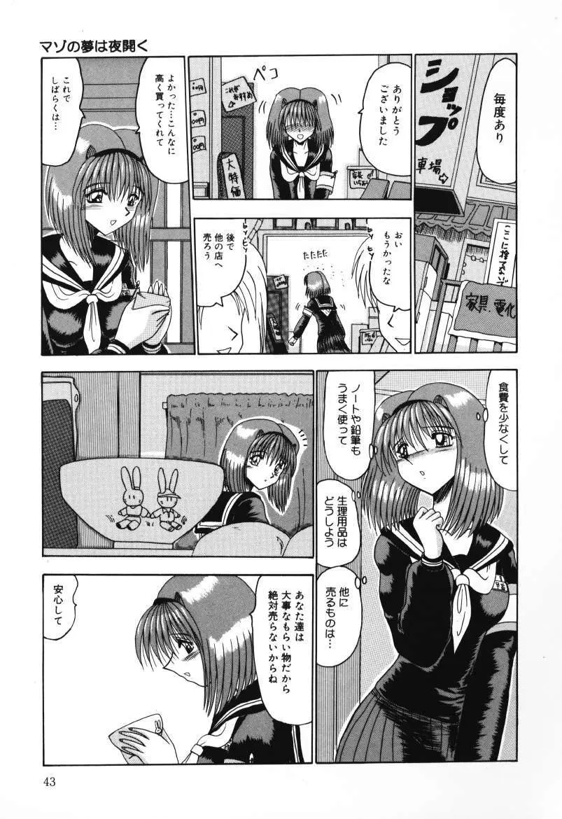 マゾの夢は夜開く Page.43