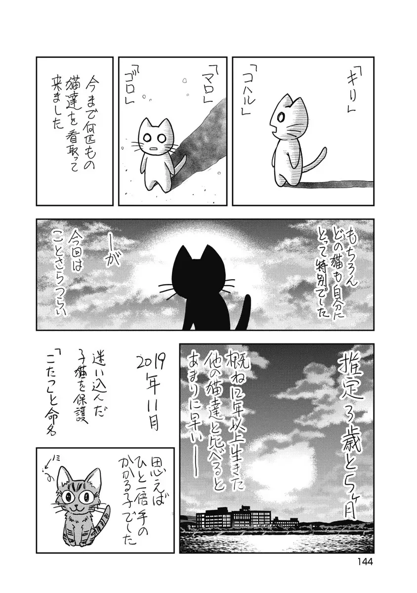 異世界ソープランド輝夜 6 Page.145