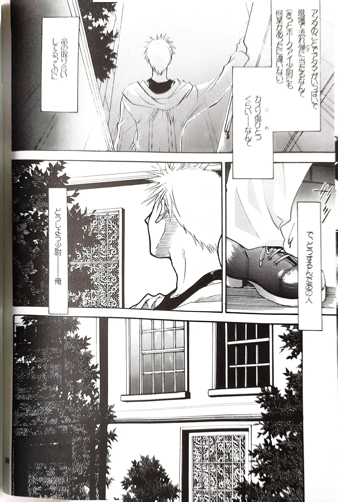 メシュウド Page.29
