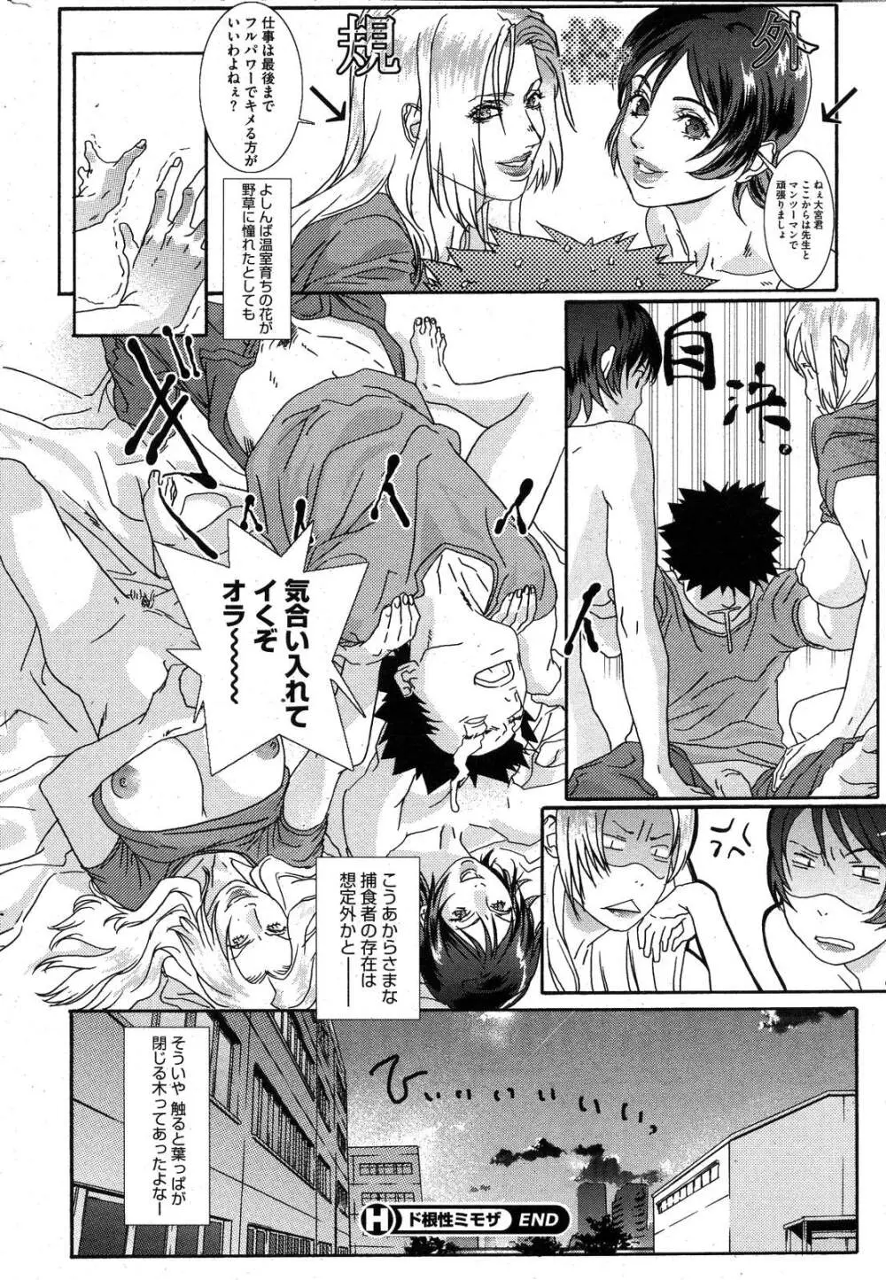 コミックホットミルク 2007年10月号 Vol.01 Page.243
