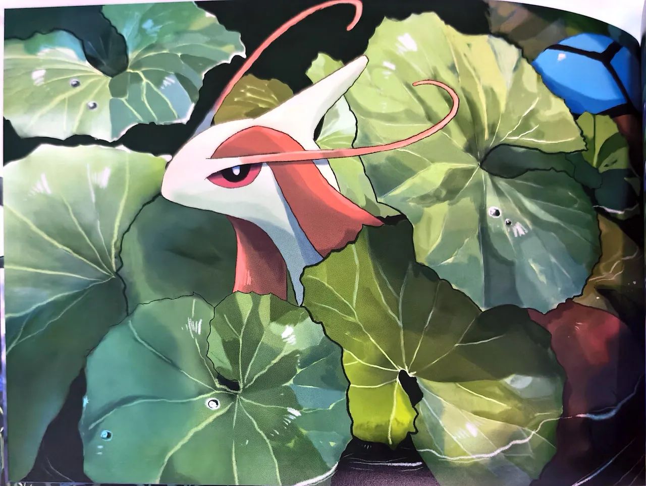 （pokemon）插画本1 Page.33