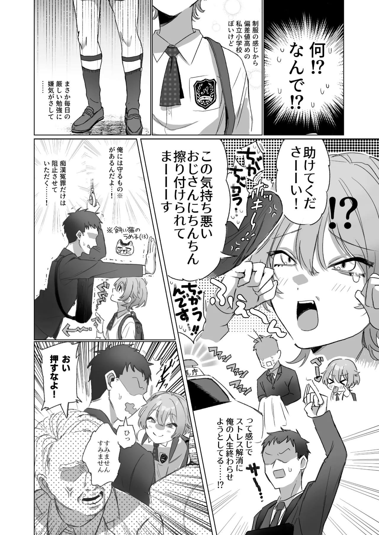 やたら顔の良いショタに痴○されて困っています! Page.3