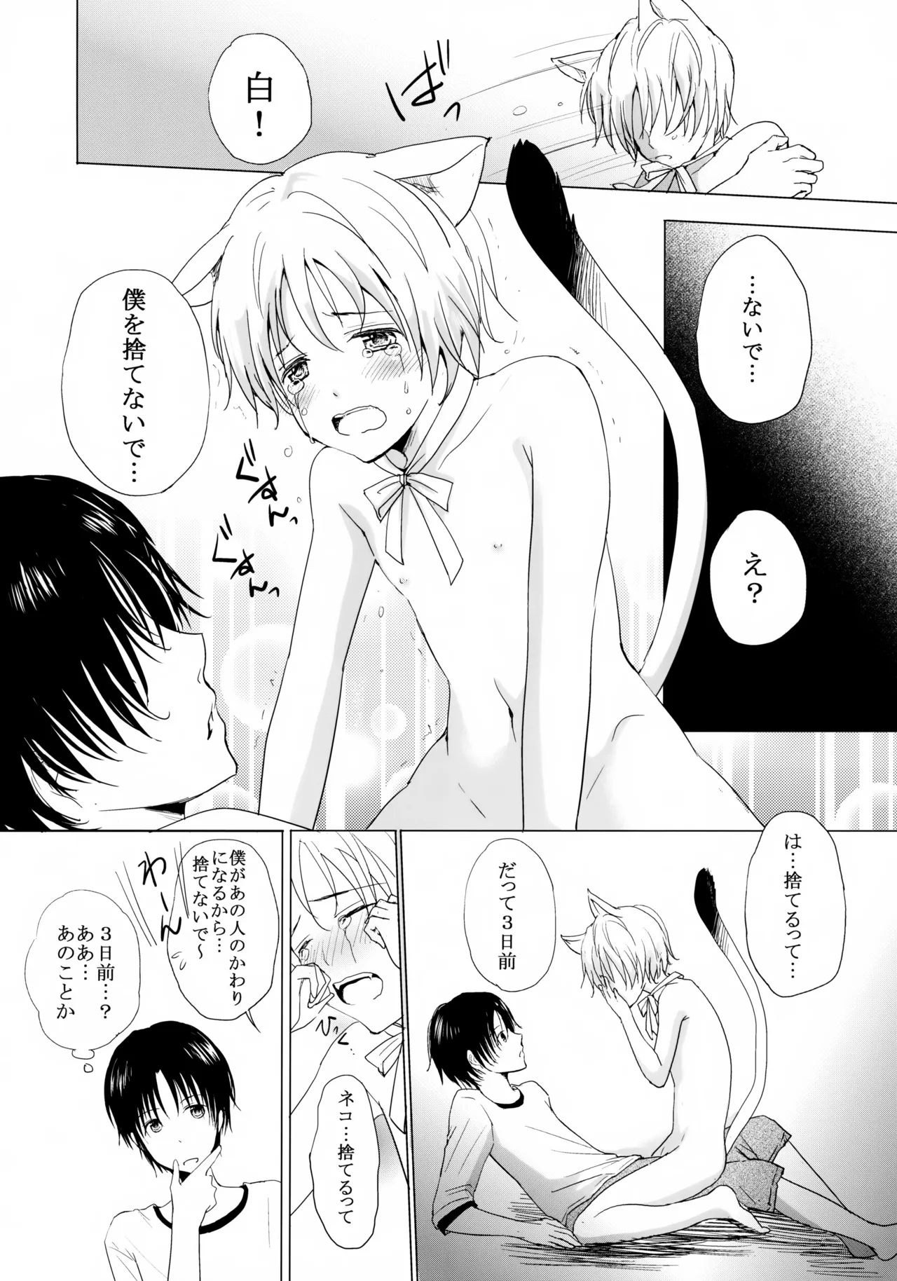 こねこびより Page.11