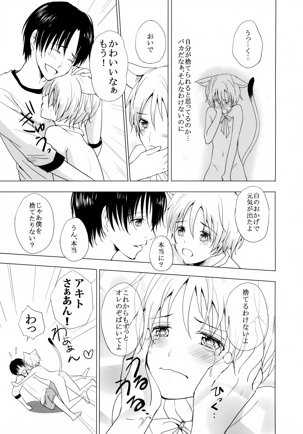 こねこびより Page.12