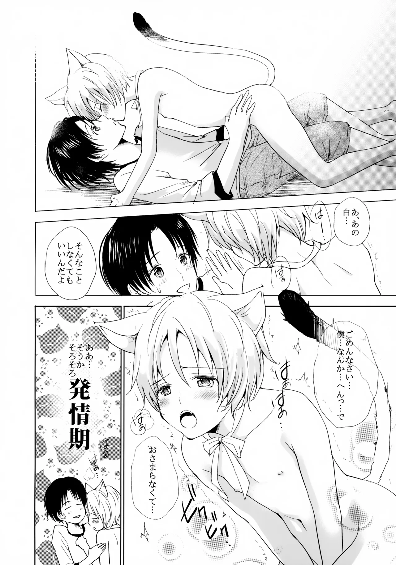 こねこびより Page.13