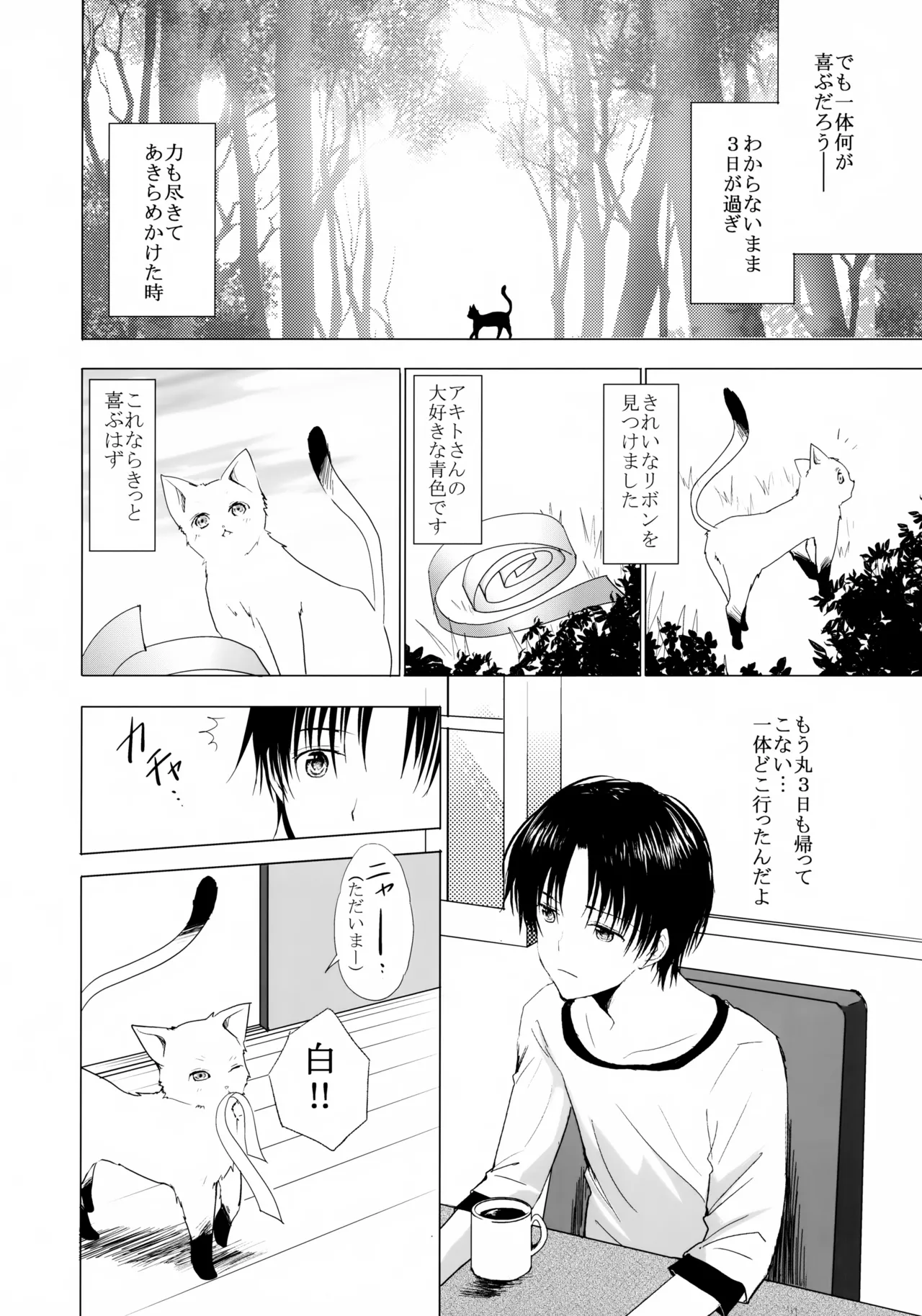 こねこびより Page.5
