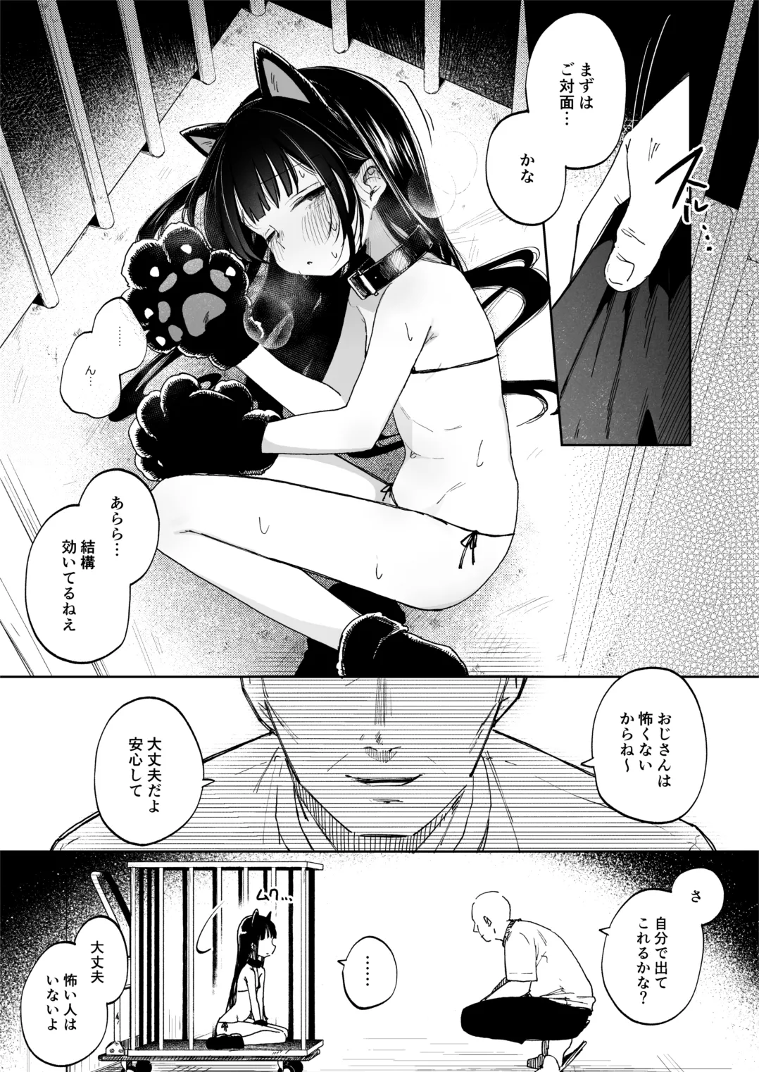 (C106) [しぷおる] 調整記録 ご主人様(あなた)の元へ届くまで [DL版] Page.5