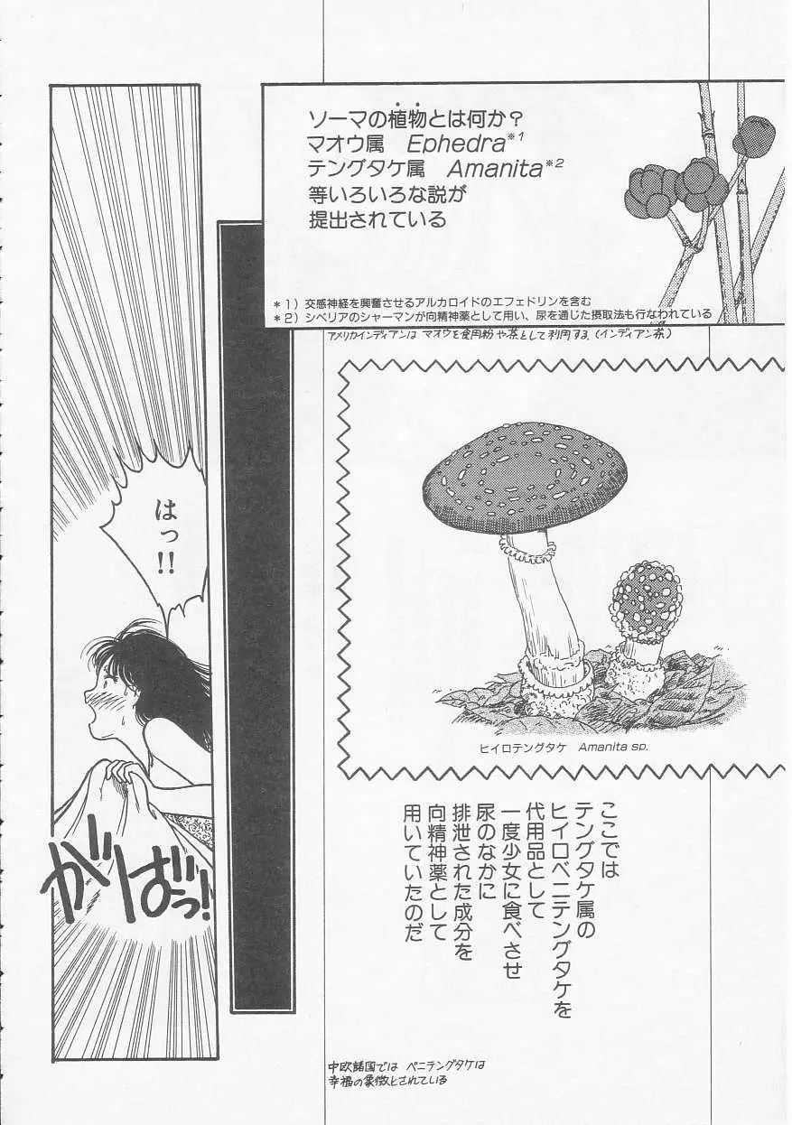 少女の適応と放散 Page.48