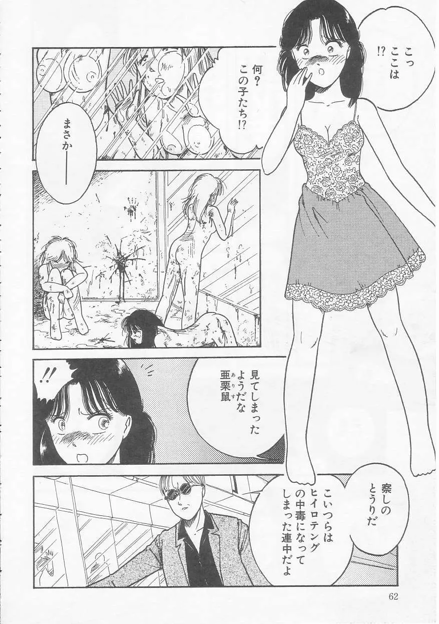 少女の適応と放散 Page.62