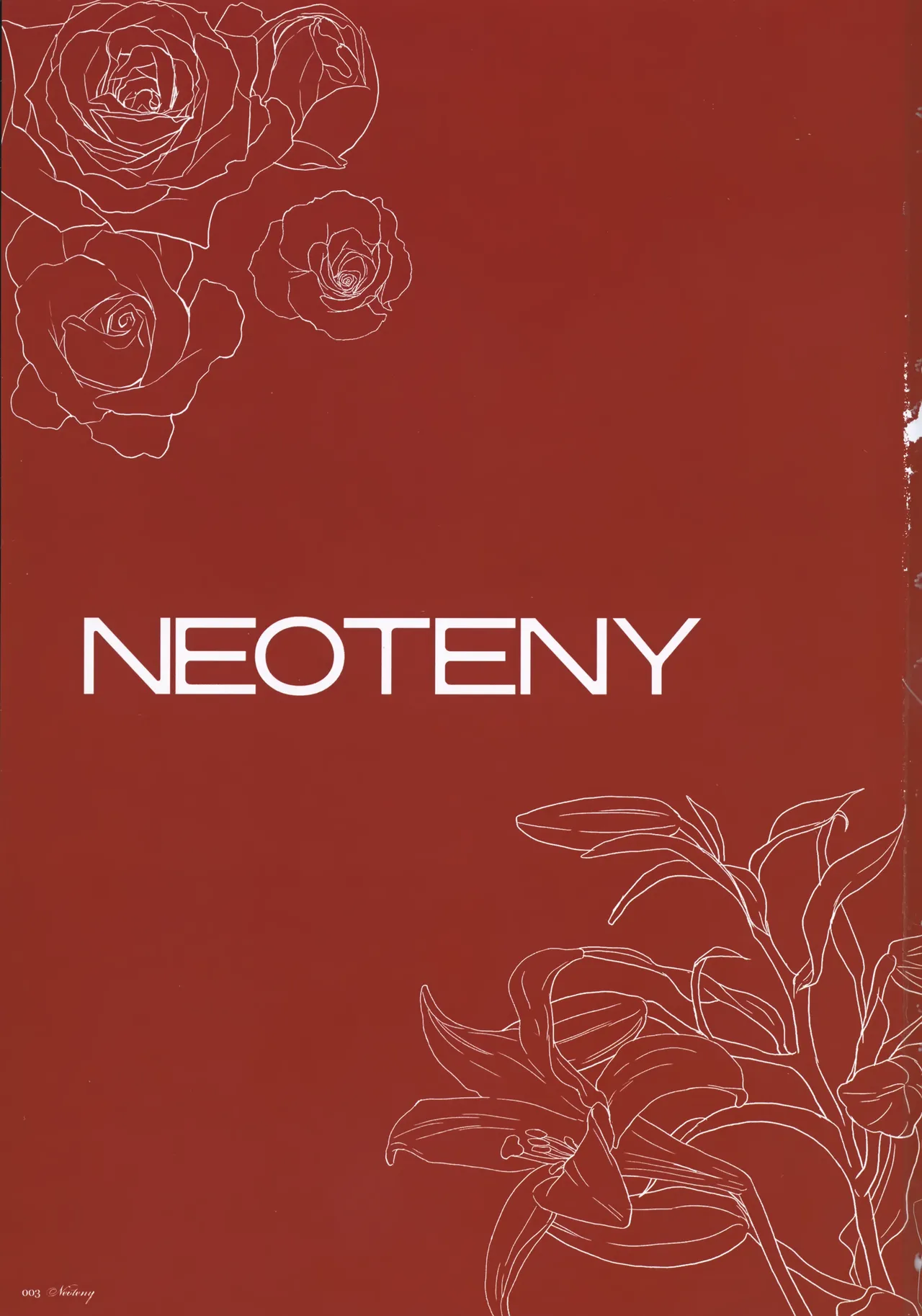 NEOTENY Page.2