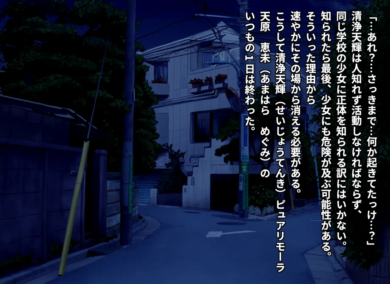 清浄天輝ピュアリモーラ Page.19