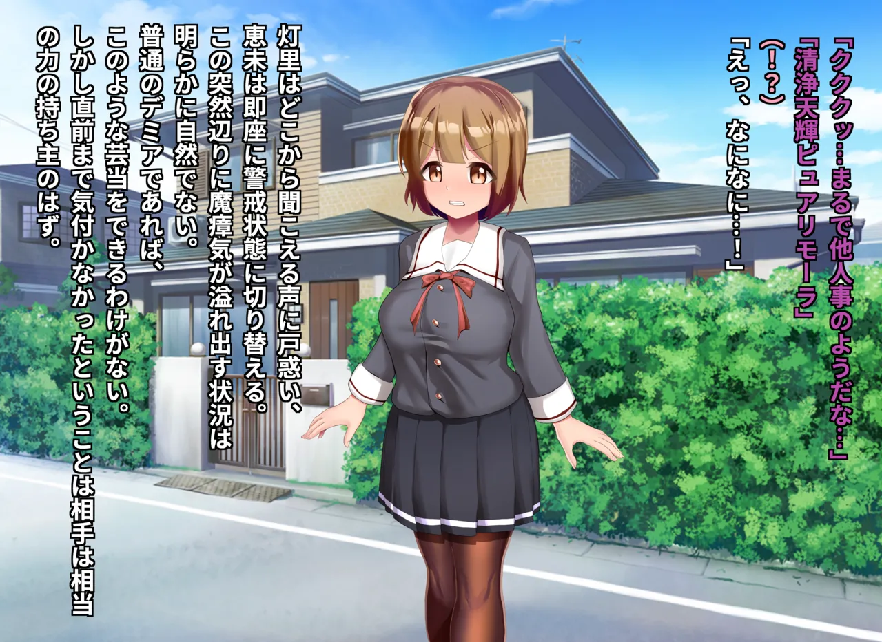 清浄天輝ピュアリモーラ Page.23