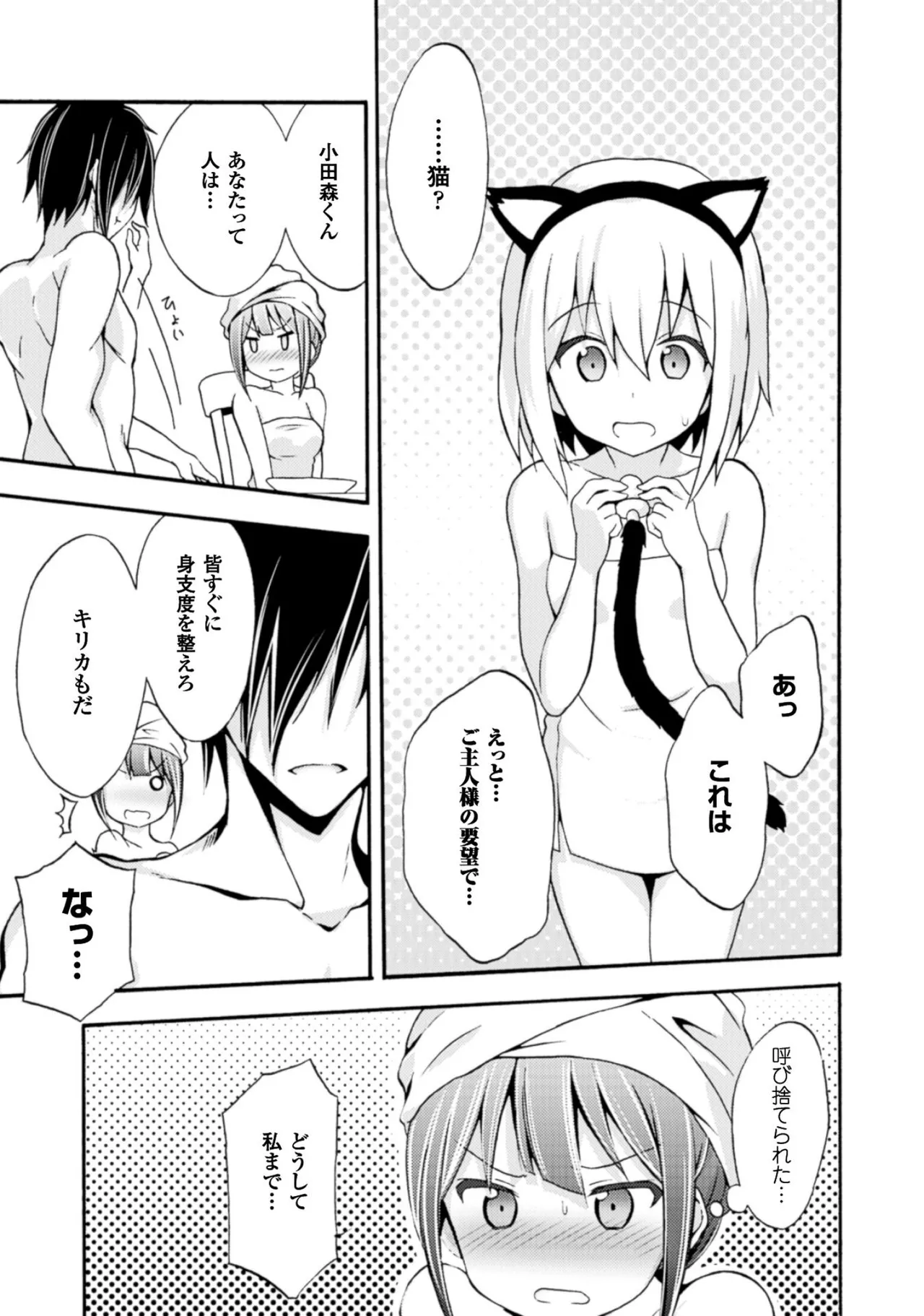 姫騎士がクラスメート! THE COMIC 第01巻 Page.53