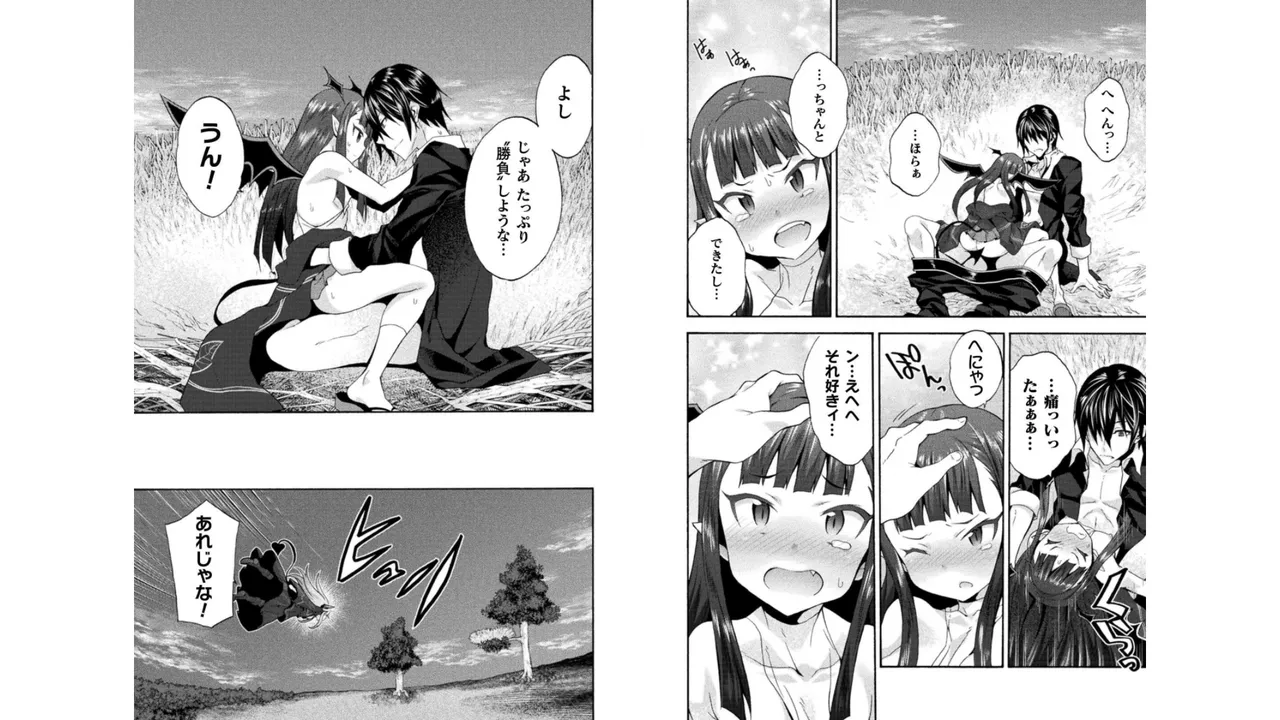 姫騎士がクラスメート! THE COMIC 第04巻 Page.13