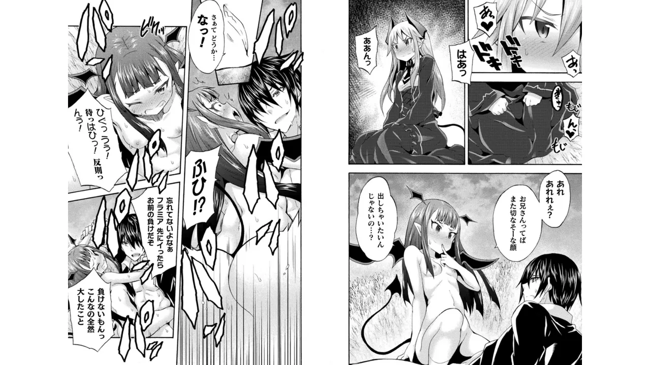 姫騎士がクラスメート! THE COMIC 第04巻 Page.17