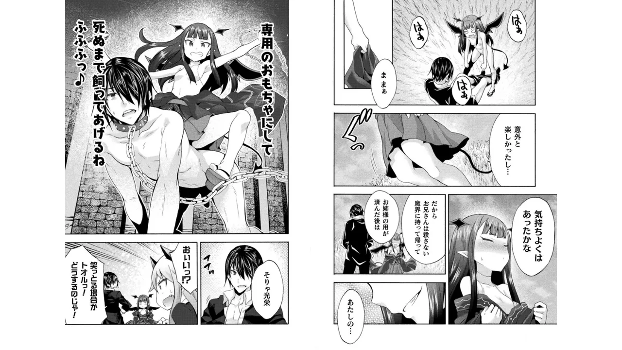 姫騎士がクラスメート! THE COMIC 第04巻 Page.21