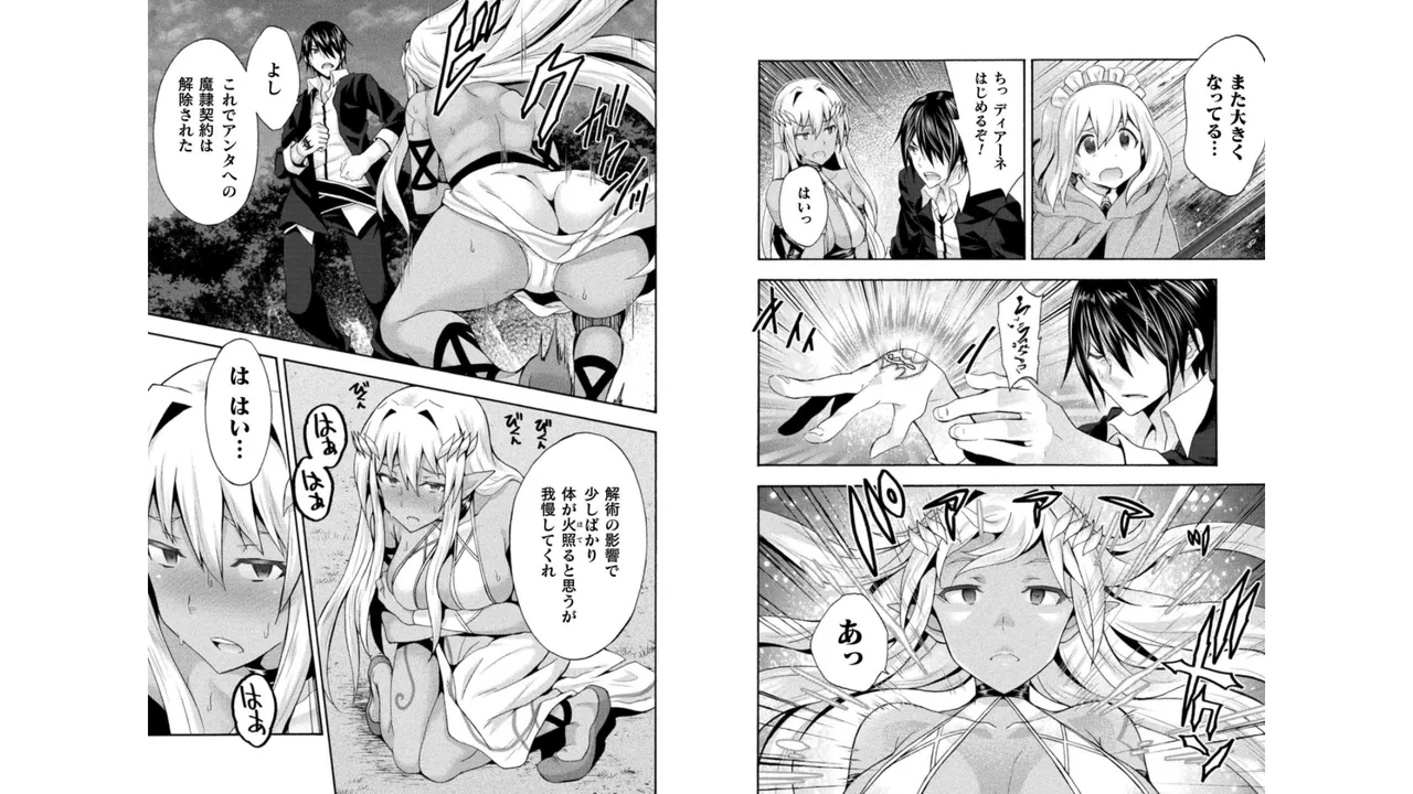 姫騎士がクラスメート! THE COMIC 第04巻 Page.48