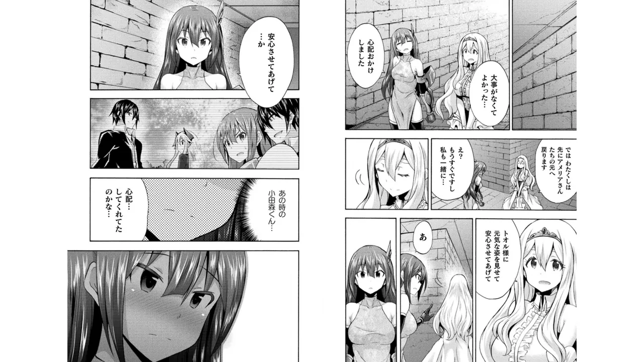 姫騎士がクラスメート! THE COMIC 第04巻 Page.77