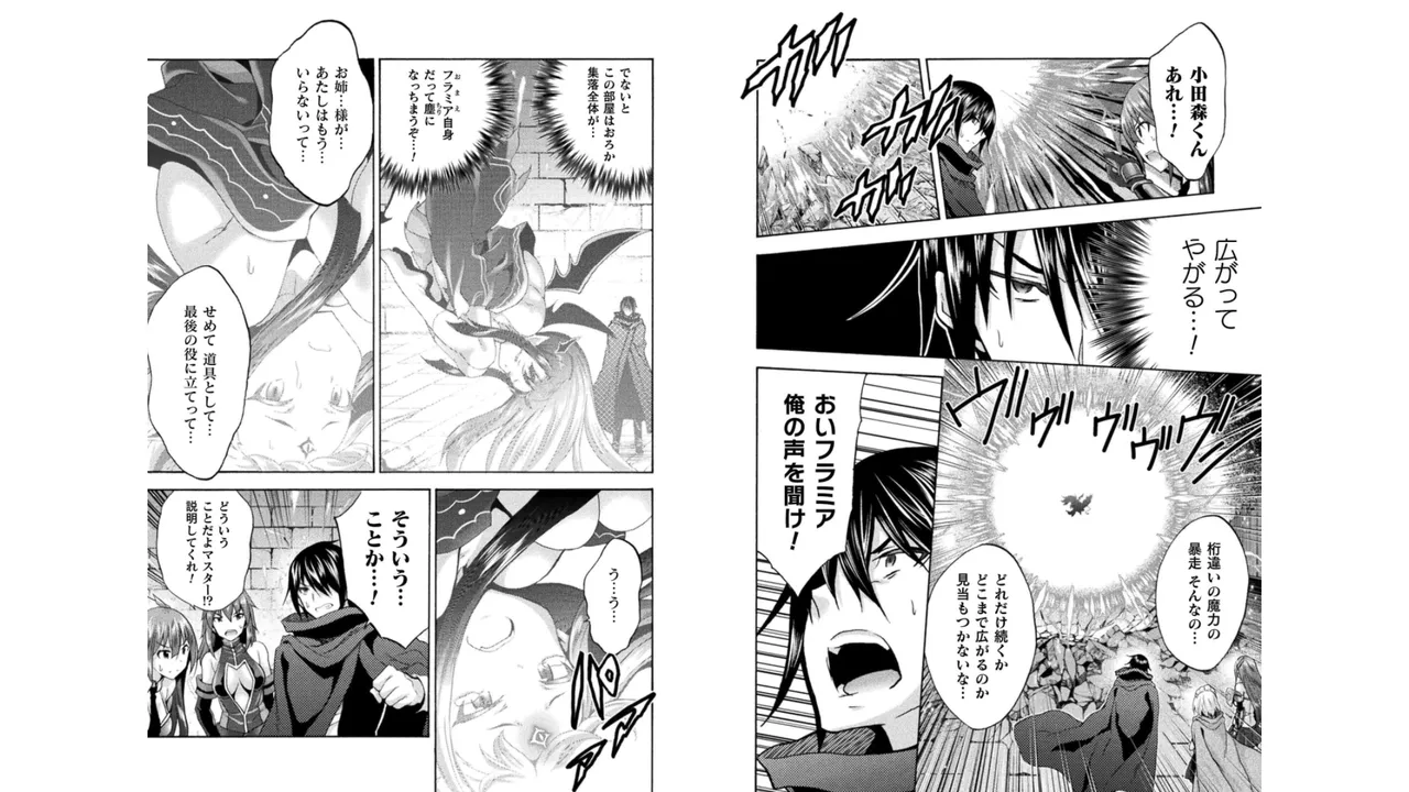 姫騎士がクラスメート! THE COMIC 第05巻 Page.13