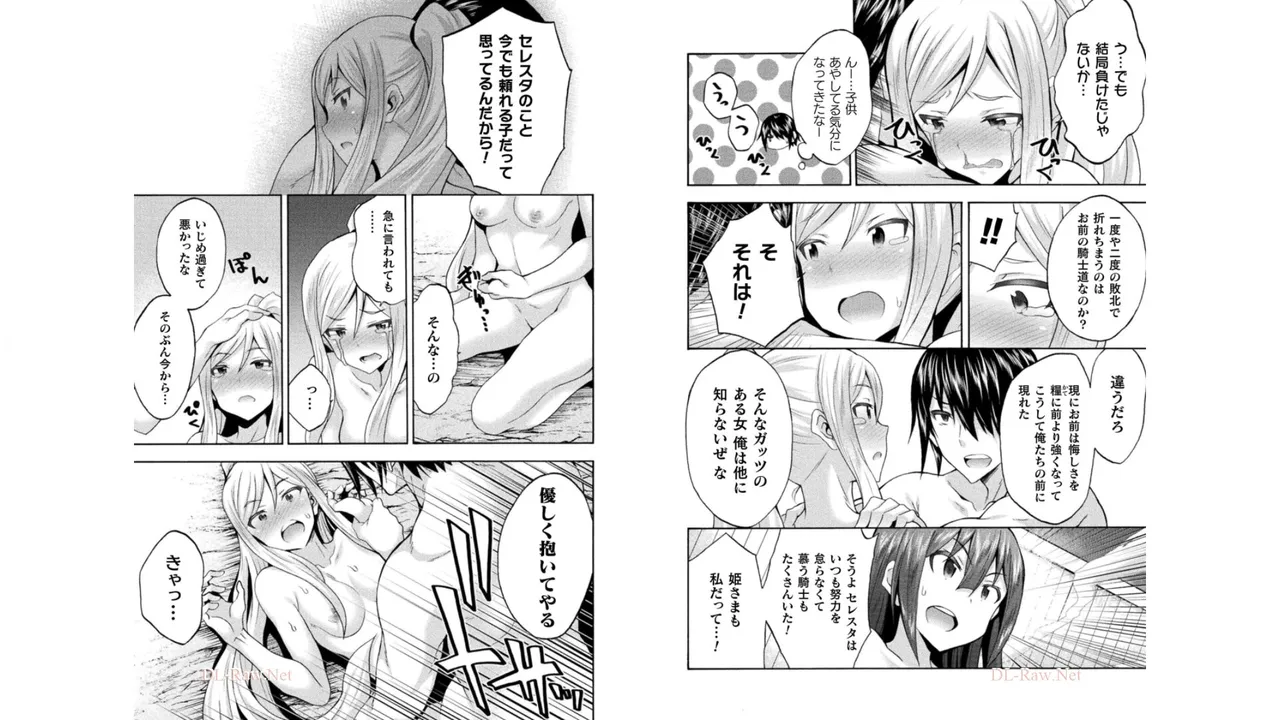姫騎士がクラスメート! THE COMIC 第05巻 Page.3