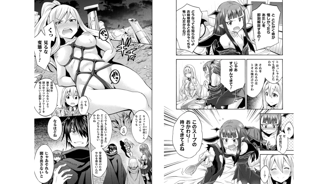 姫騎士がクラスメート! THE COMIC 第05巻 Page.67
