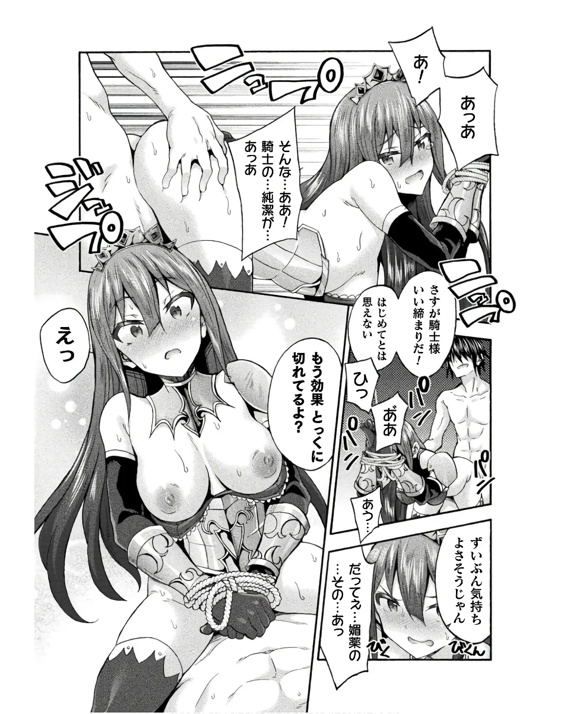 姫騎士がクラスメート! THE COMIC 第08巻 Page.175