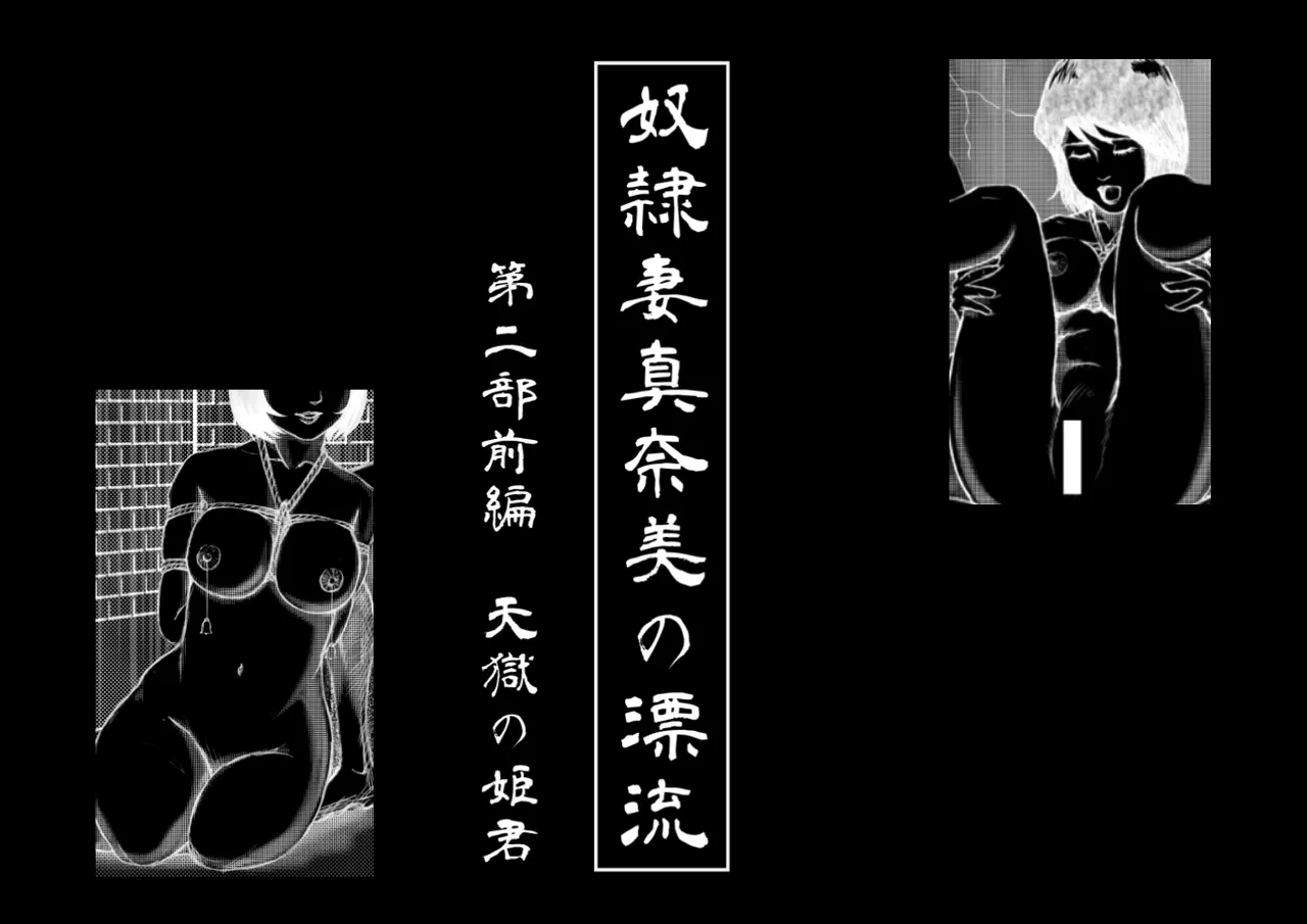奴隷妻 真奈美の漂流 1-5 Page.12