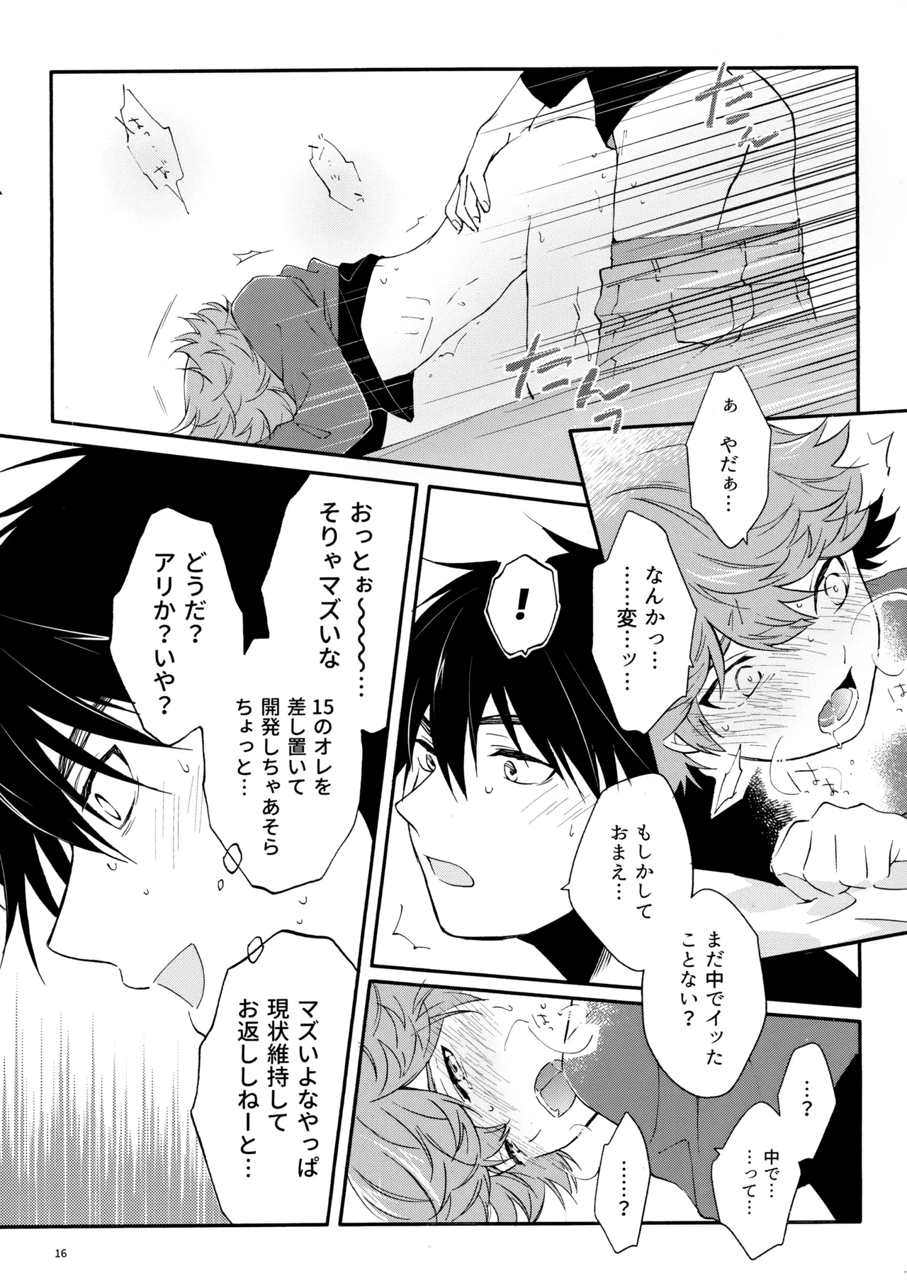 マイディアスワップ Page.15