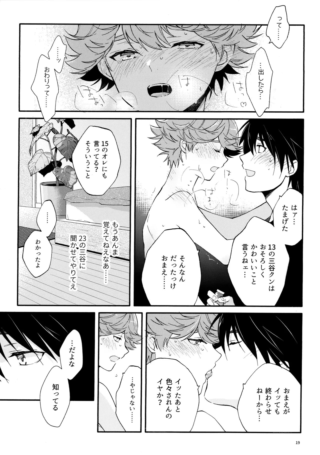 マイディアスワップ Page.18