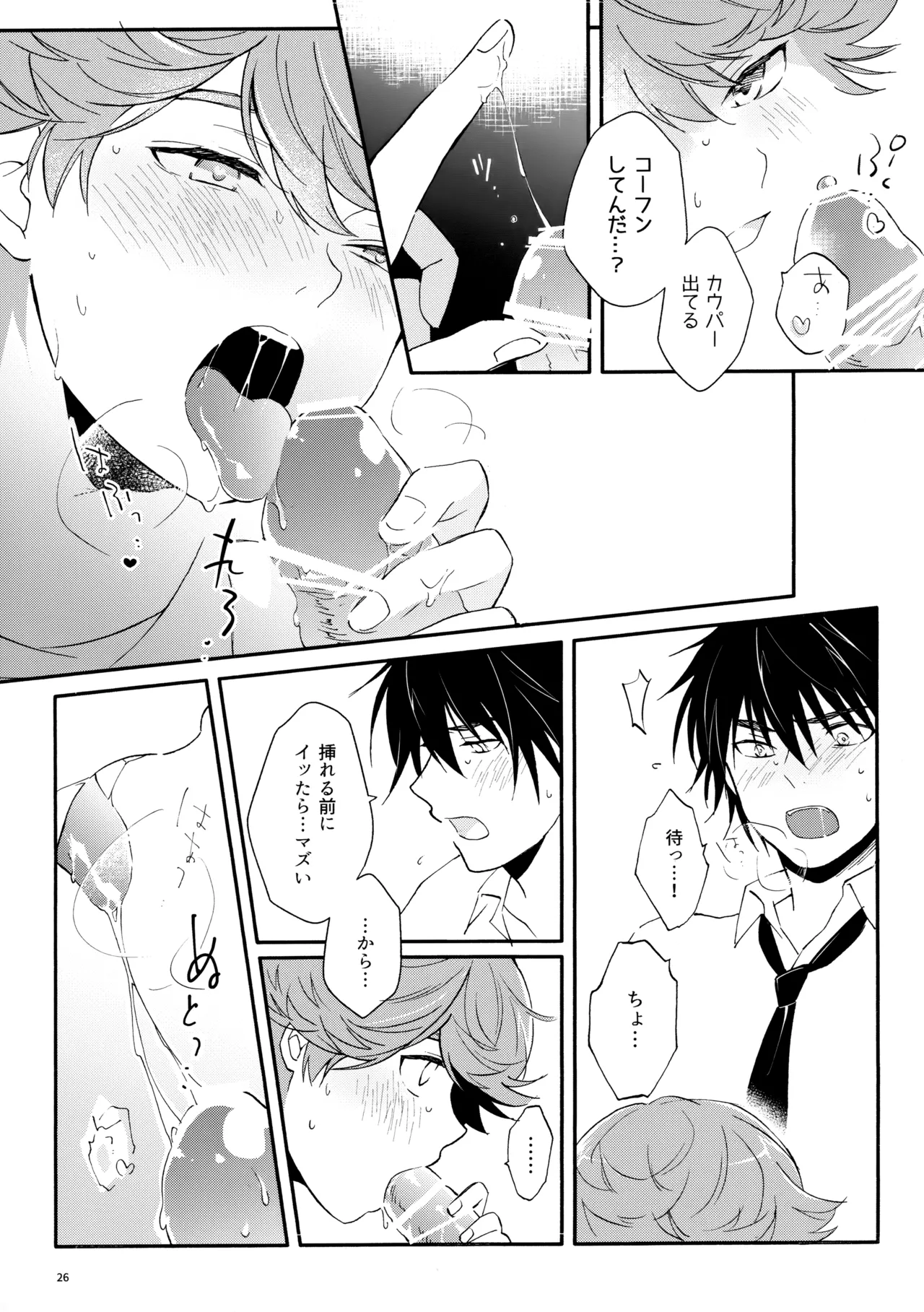 マイディアスワップ Page.25