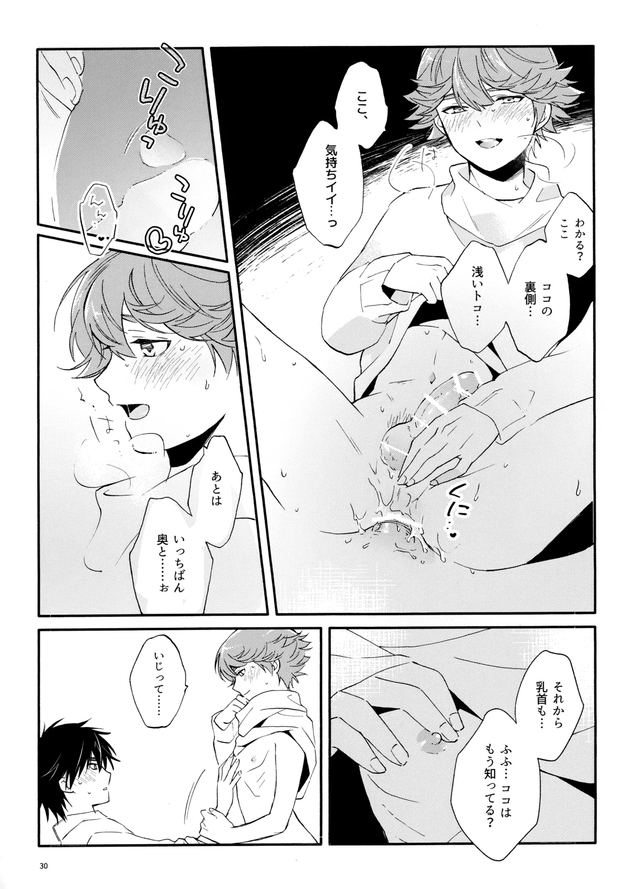マイディアスワップ Page.29