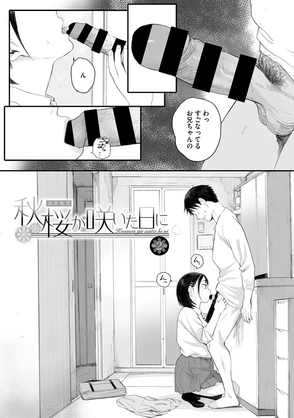 秋桜が咲いた日に Page.48