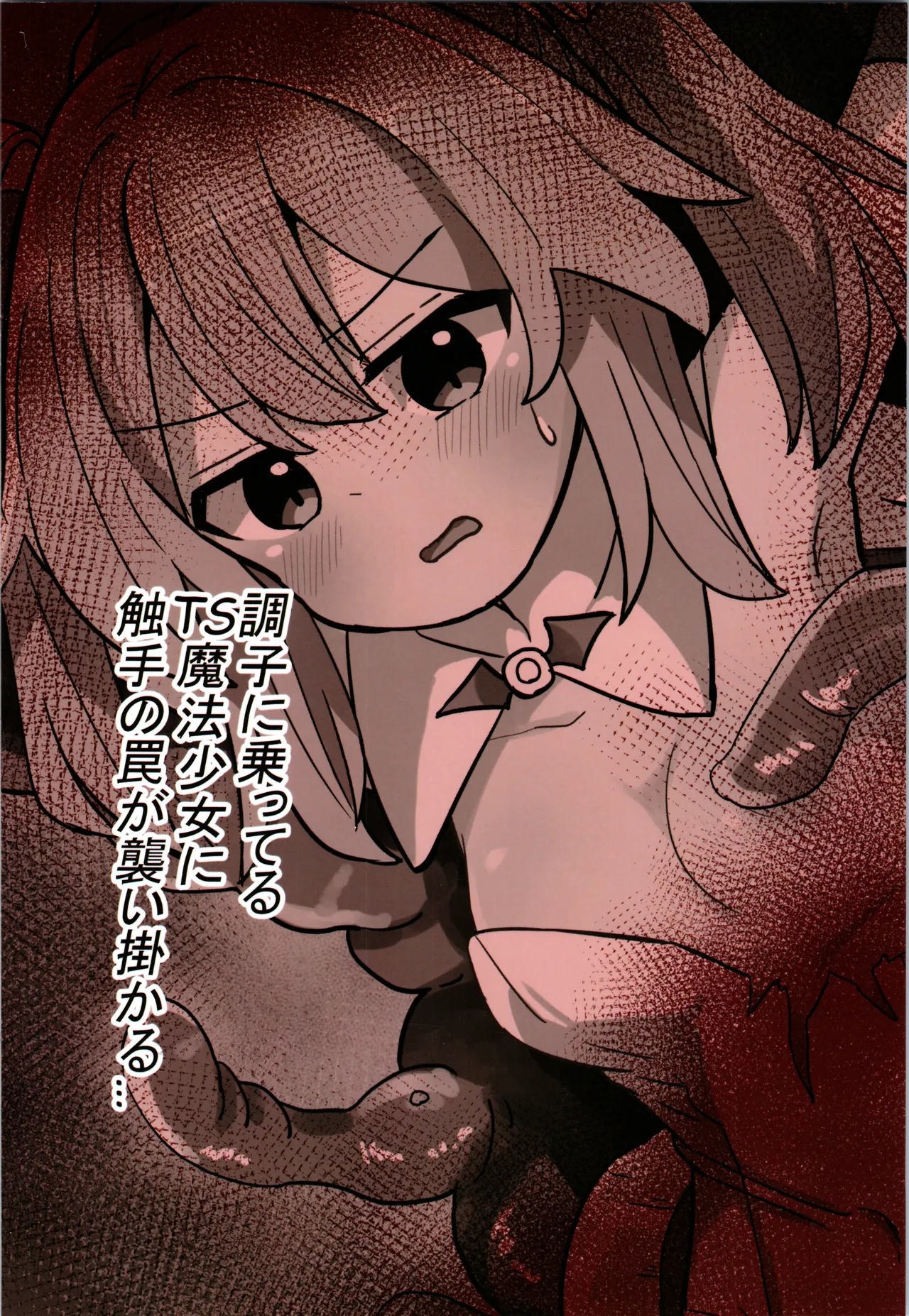 TS魔法少女、触手に堕ちる Page.20