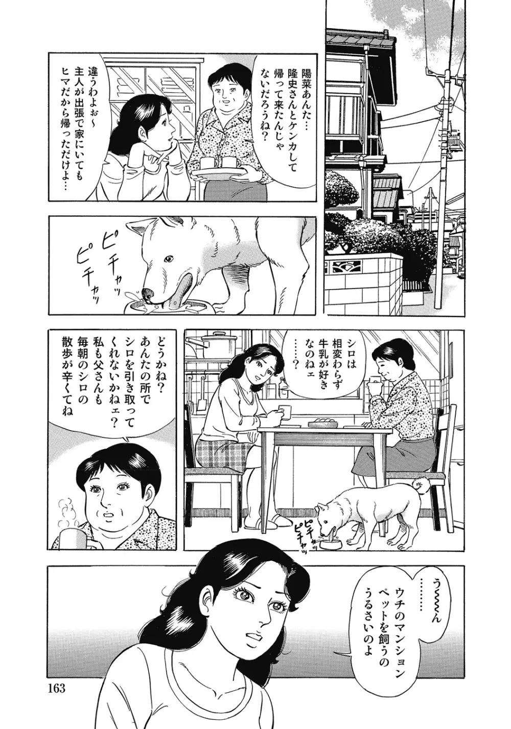 しろうと人妻ねっとり不倫日記 Page.162