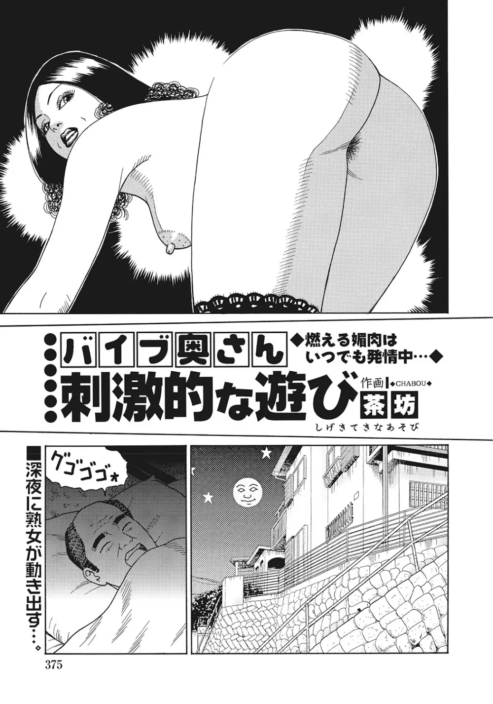 スキモノ！ 巨乳奥様天国 Page.374