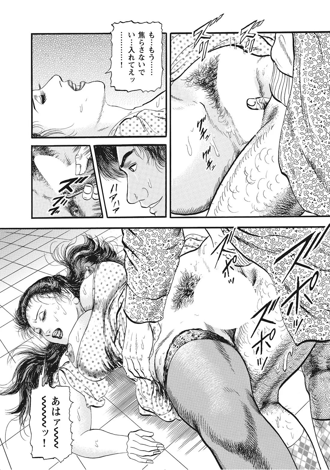 完熟妻のふしだら日記 Page.161