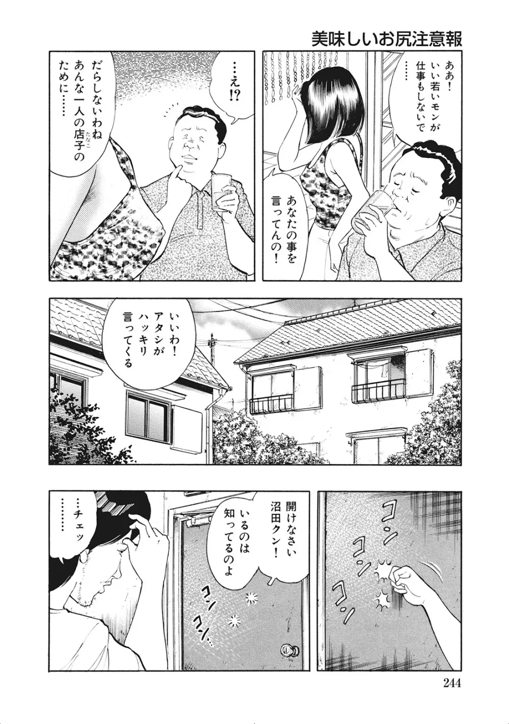 完熟妻のふしだら日記 Page.243