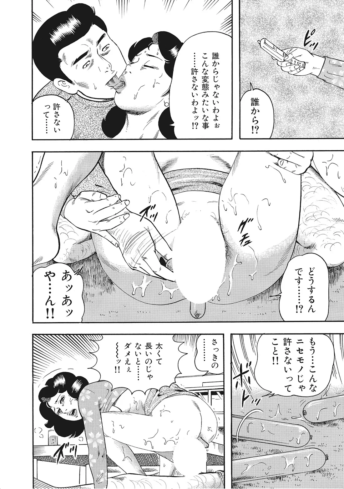 完熟妻のふしだら日記 Page.379