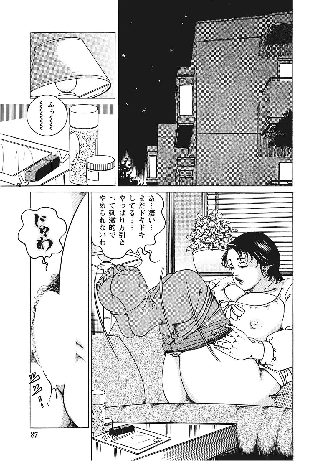 完熟妻のふしだら日記 Page.86