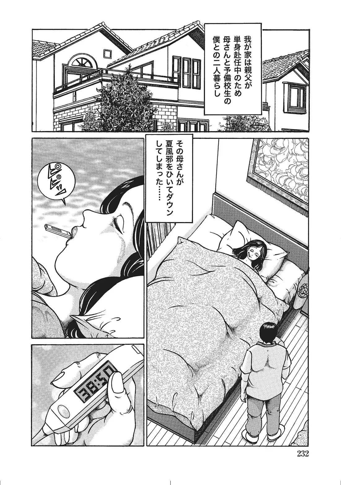 人妻艶熟ものがたり Page.211