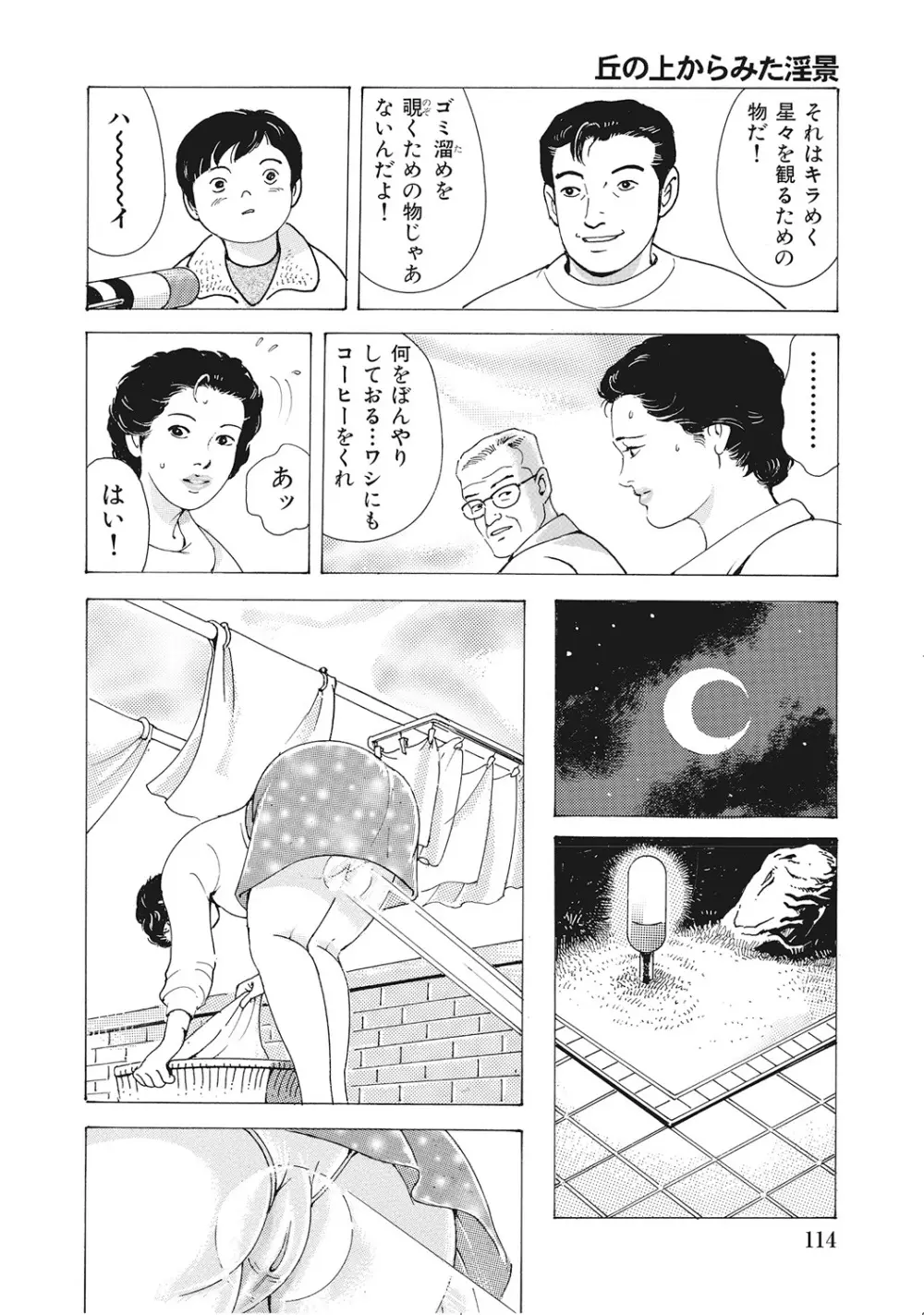 男が欲しくてたまらない奥様たち Page.113