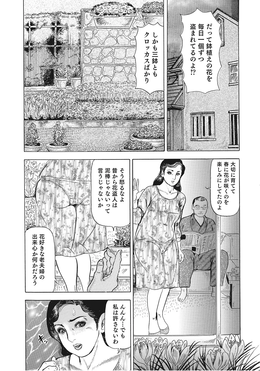男が欲しくてたまらない奥様たち Page.299