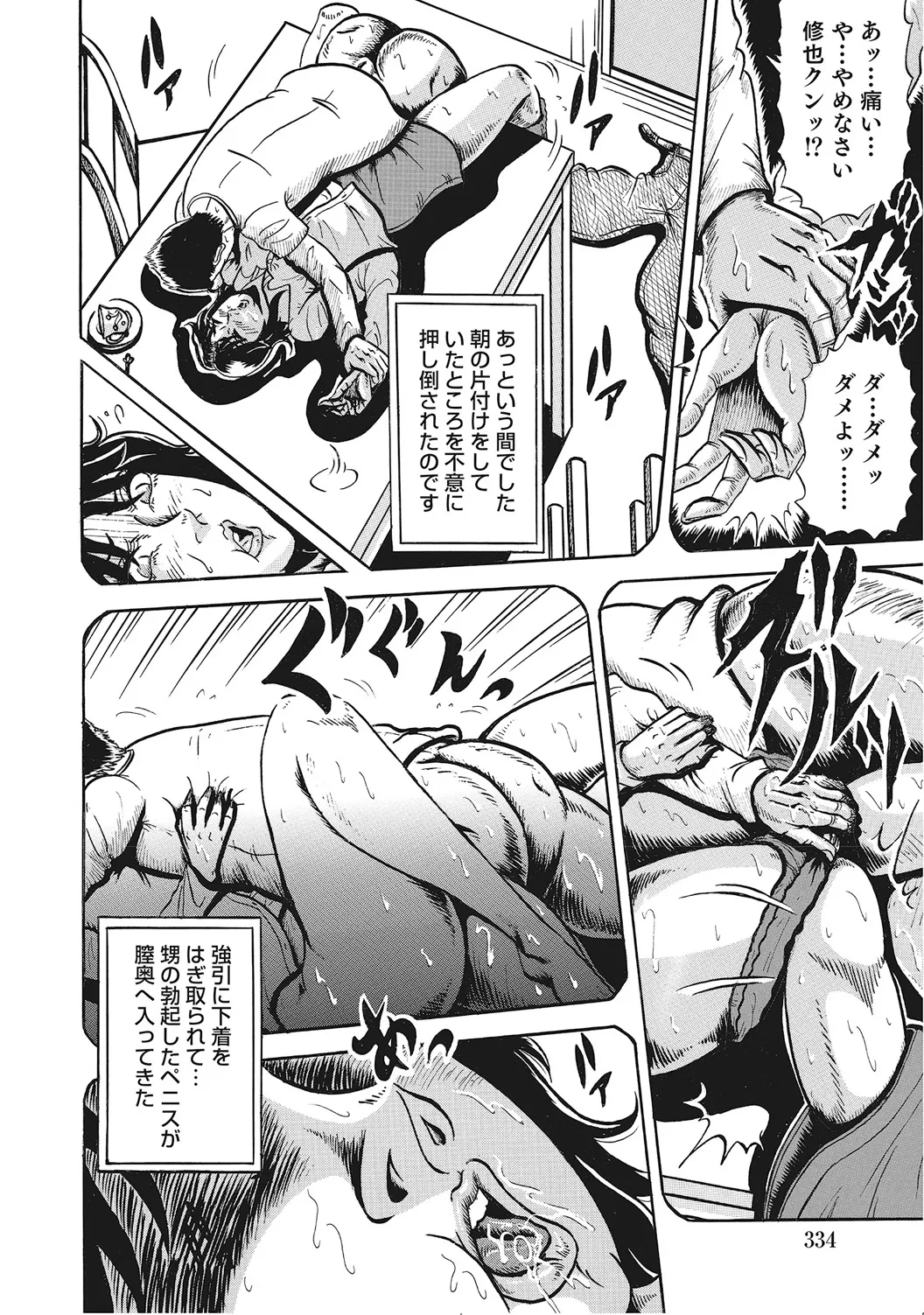 男が欲しくてたまらない奥様たち Page.333
